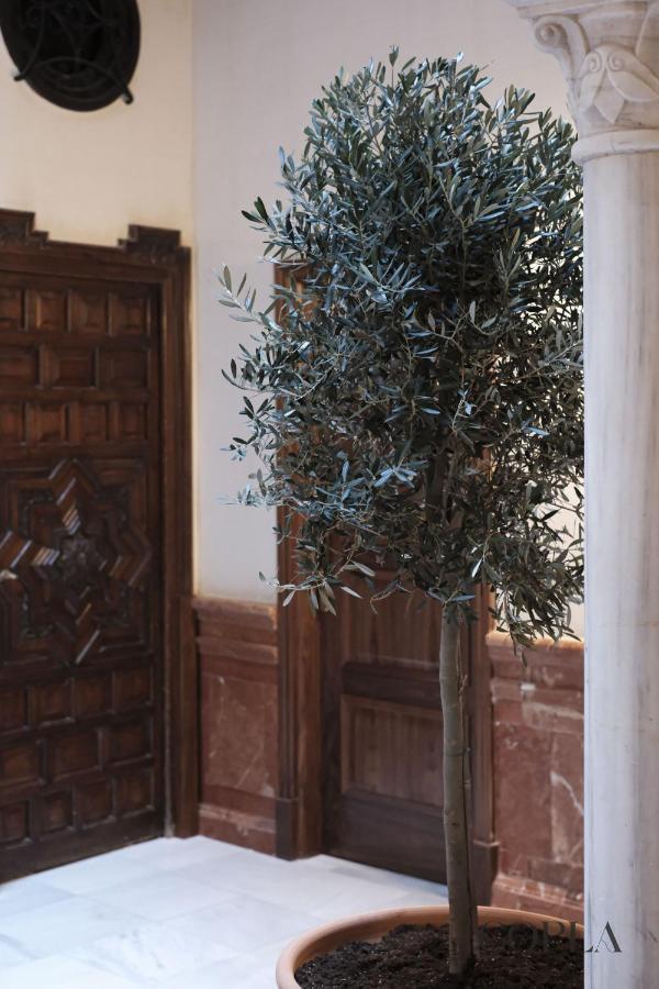 Appartement Elegante Apartamento Para 4 Pax Cerca De La Plaza De Espana